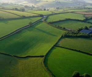 Testimonials from Christian Singles in Devon